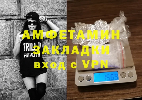 индика Алзамай