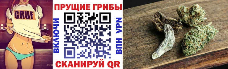даркнет сайт  Енисейск  МЕГА ссылка  shop состав  Псилоцибиновые грибы Cubensis 